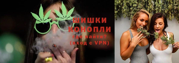 амф Магас