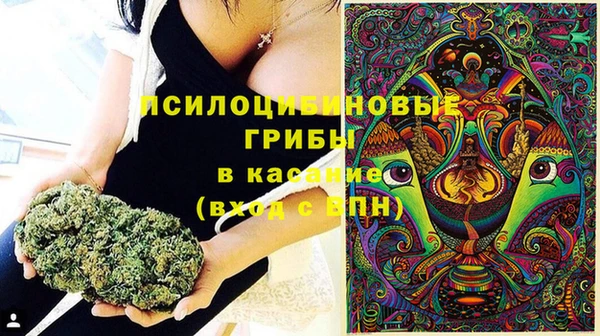 амф Магас