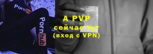 амф Магас