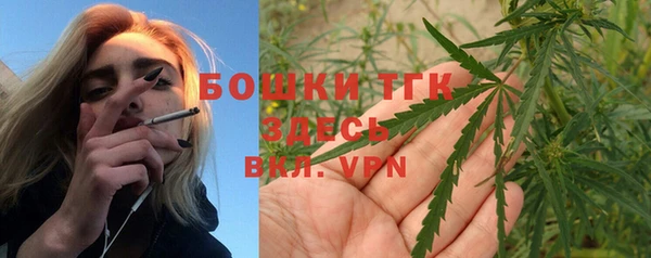 амф Магас
