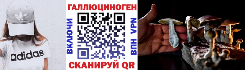 мега зеркало Лакинск Псилоцибиновые грибы прущие грибы